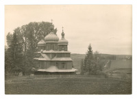Тернопольская область - с. Розгадів. Тернопільська обл. Дерев