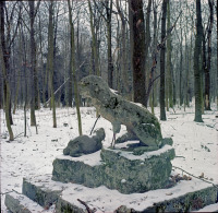 Киев - 2006 год (14.01.2006). Украина. Киев. Голосеевский лес.