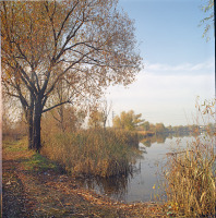 Киев - 2005 год. Украина. Киев. Озеро на жилом массиве Оболонь.
