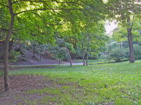 Киев - 2005 год (27.06.2005). Украина. Киев. Ботанический сад им. Фомина.