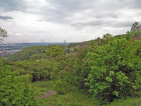 Киев - 2006 год (09.05.2006). Украина. Киев. Национальный ботанический сад имени Н. Н. Гришко НАН Украины. 09.05.2006. Ukraine. Kyiv. M. M. Hryshko National Botanical Garden.