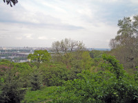 Киев - 2006 год (09.05.2006). Украина. Киев. Национальный ботанический сад имени Н. Н. Гришко НАН Украины. 09.05.2006. Ukraine. Kyiv. M. M. Hryshko National Botanical Garden.