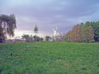 Киев - 2006 год (09.05.2006). Украина. Киев. Национальный ботанический сад имени Н. Н. Гришко НАН Украины. 09.05.2006. Ukraine. Kyiv. M. M. Hryshko National Botanical Garden.