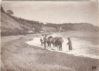 Алушта - Профессорский уголок  100 лет назад. Стройматериалы на пляже.