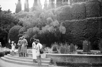 Ялта - Никитский ботанический сад.