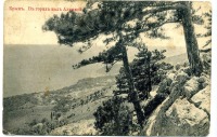 Алупка - Крым. В горах над Алупкой, 1900-1917