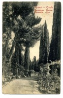 Массандра - Массандра. Парк, 1900-1917