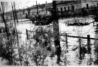Одесса - Московская ул.Фото из альбома немецкого лётчика 1941г.