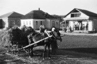Алексеевка - Село Колтуновка. Фотографии середины 20 века