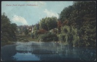 Львов - Львів. Стрийський парк - 1909 рік.