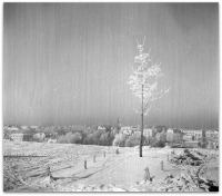 Львов - Львів.  На Вуглецьких пагорбах.