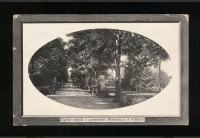 Коломыя - Міський парк з пам