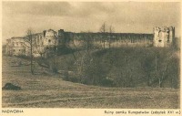Надворная - Надворная Руины замка Куропатвов 16 в.