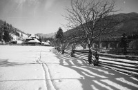 Ворохта - Ворохта.  Гуцульські  хати.