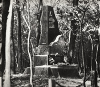 Ровеньки - Памятник в Гремучем лесу (Ровеньки), где были расстреляны молодогвардейцы.