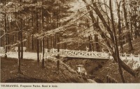 Трускавец - Трускавець. Фрагмент курортного парку.Міст в лісі.