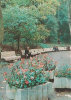 Трускавец - Курорт Трускавец  в 1980-х . Уголок в лесопарке.