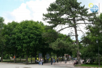 Трускавец - Трускавець.  Дорога в парку.