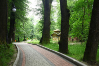 Трускавец - Трускавець.  Алея в курортному парку.