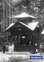 Трускавец - Трускавець.  Джерело  