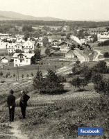 Трускавец - Вигляд Трускавця з Гошівської гори.