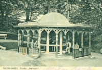 Трускавец - Трускавець.  Джерело  