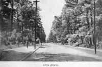 Брюховичи - Брюховичі.  Головна алея.