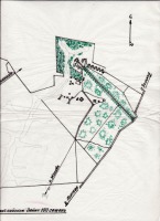 Диканька - План земельного участка в с. Диканька в 1861 году
