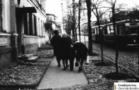 Симферополь - Симферополь. Небольшая фото-сессия: «Идём в гости» – 1970