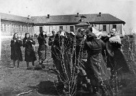 Эртиль - Село Ростоши. Восьмилетняя школа.