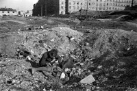 Австрия - Австрия, 1948 год - Мальчик, копающийся в воронке посреди пустыря
