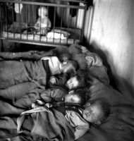 Вена - Австрия, Вена, 1948 год - Спящие дети