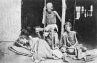  - Массовый голод в индийской провинции Мадрас, 1876-1878