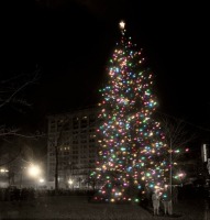 Нью-Йорк - Рождественская елка на Мэдисон-сквер