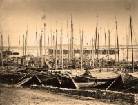 Саратов - Лодки с арбузами на Волге