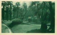 Франция - Клумба махровой гвоздики и пальмы в саду Монте-Карло