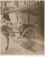 Париж - Пассажирский конный  багги в Булонском лесу, 1910