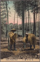Япония - Заготовка побегов бамбука, 1910-1919