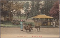 Япония - Пятнистые олени в парке Нара, 1901-1907