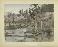 Япония - Сад храма Омия в Омия-ши