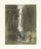 Киото - Дорога Оодзиозака и бамбуковая роща