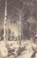 Алма-Ата - Алма-Ата. Улица Пушкинская, 1929-1930
