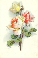 Ретро открытки - Открытка. Коллекция открыток. Розы.