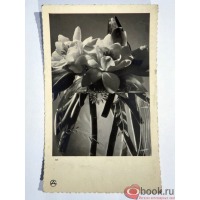 Ретро открытки - Цветы в стеклянном шаре