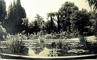Ретро открытки - Бассейн в нижнем парке