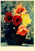 Ретро открытки - Букет цветов