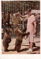 Ретро открытки - Зоологический сад