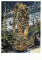 Ретро открытки - Амурский тигр.