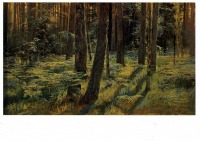Ретро открытки - И.И.Шишкин.Папоротники в лесу.Сиверская.Этюд.