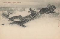 Ретро открытки - Русские типы. Зимняя дорога. Волки